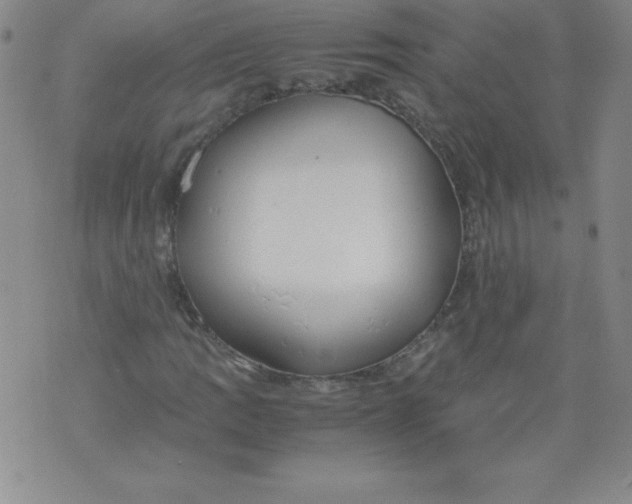 X0000071931109200607281911