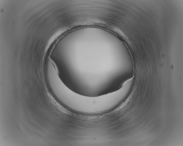 X0000071931122200607281912