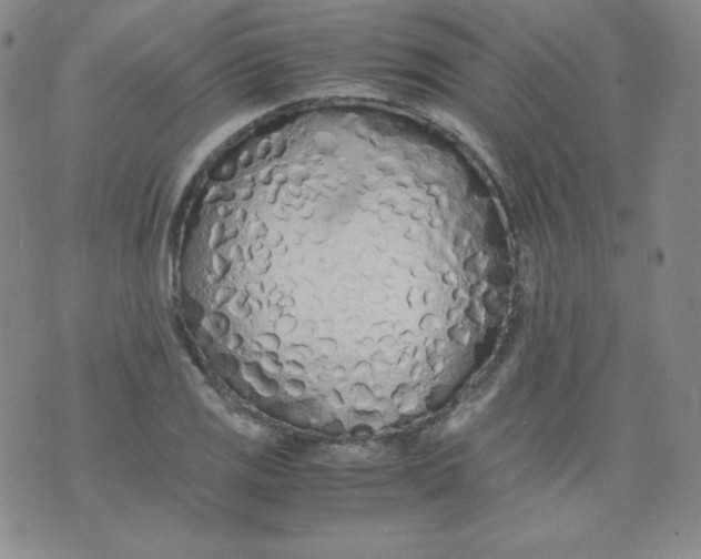 X0000071931125200607281912