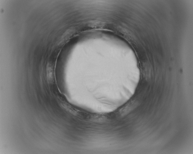 X0000071931154200607281911