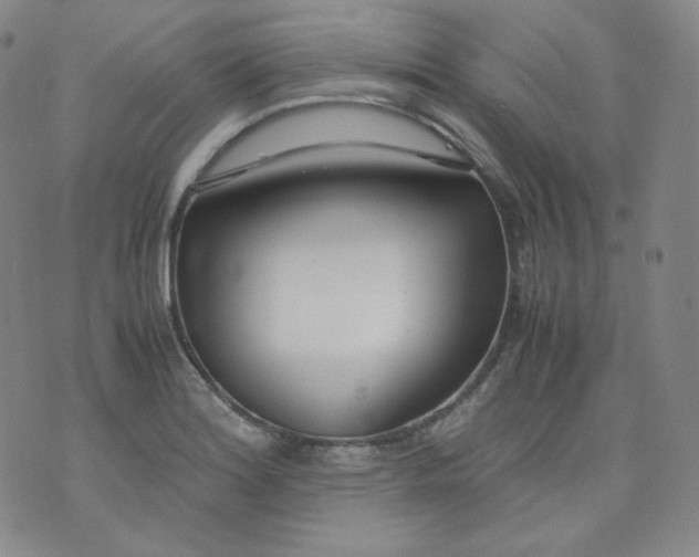 X0000071931180200607281911