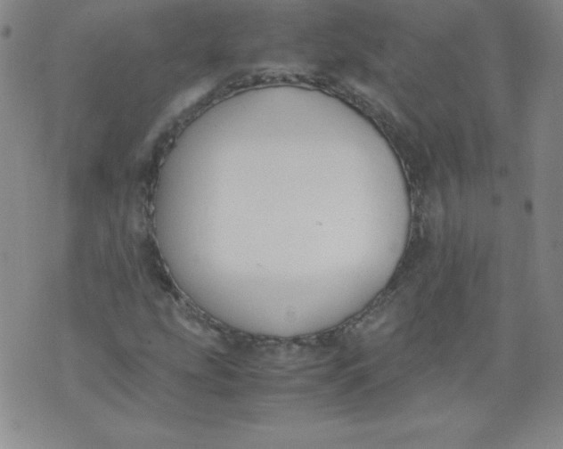 X0000071931207200607281910