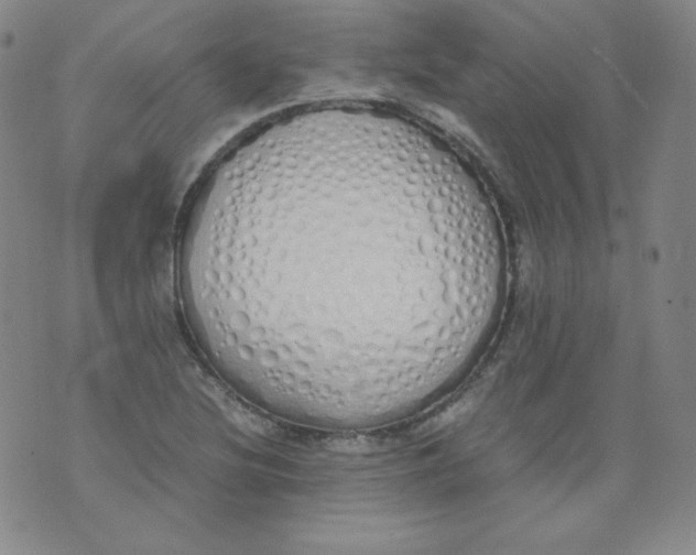 X0000071931220200607281910
