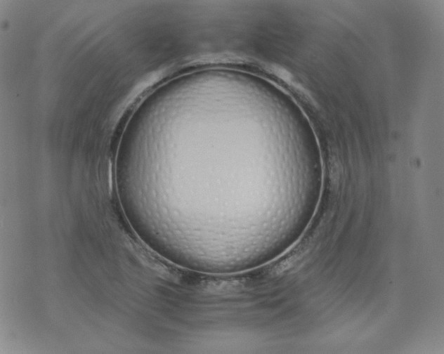 X0000071931221200607281910