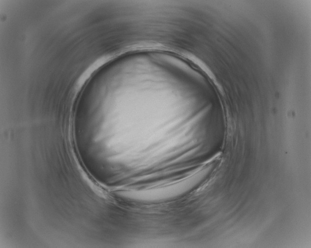 X0000071931245200607281911