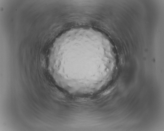 X0000071931251200607281910