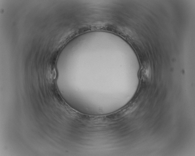X0000071931252200607281910