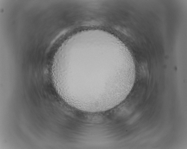 X0000071931254200607281910