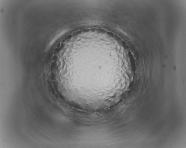 X0000071931255200607281910
