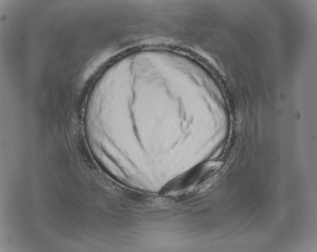 X0000071931263200607281910