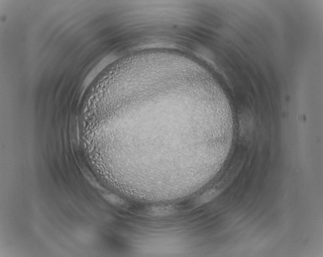 X0000071931274200607281909