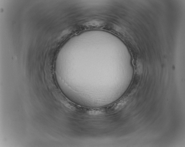 X0000071931297200607281908