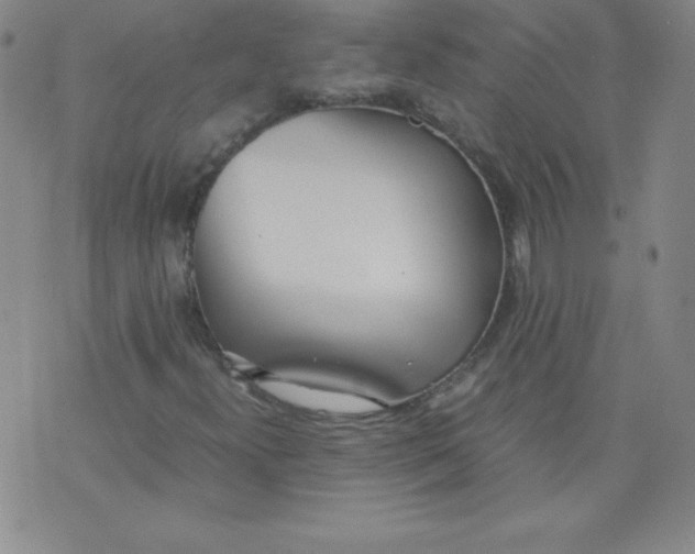X0000071931300200607281908
