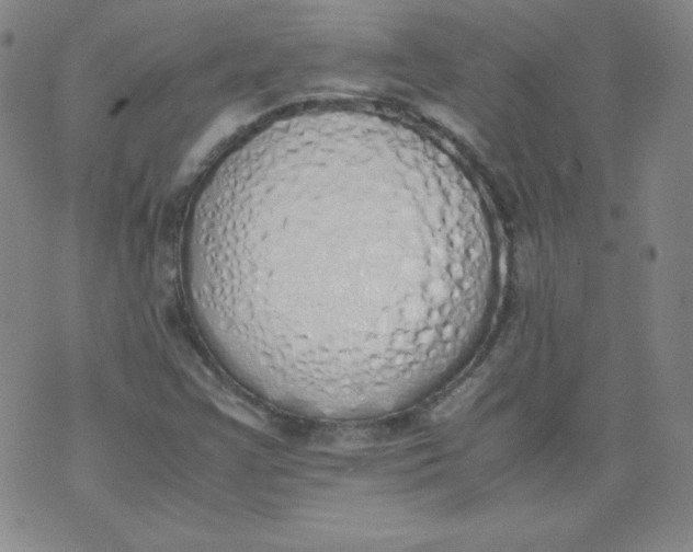 X0000071931355200607281908