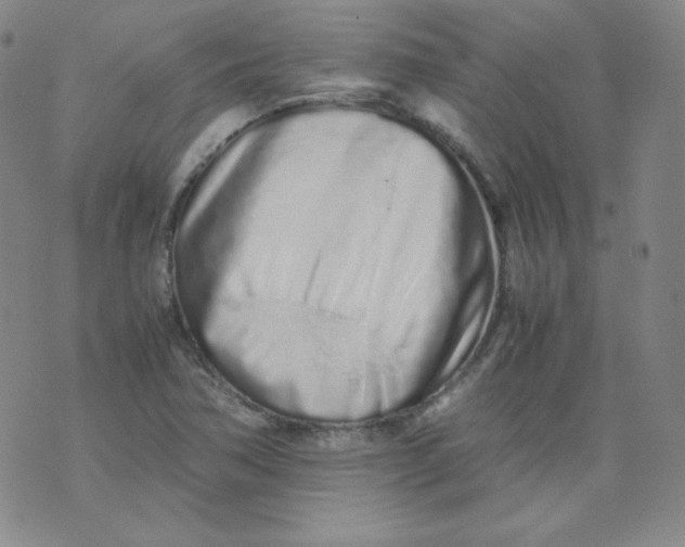 X0000071931362200607281908