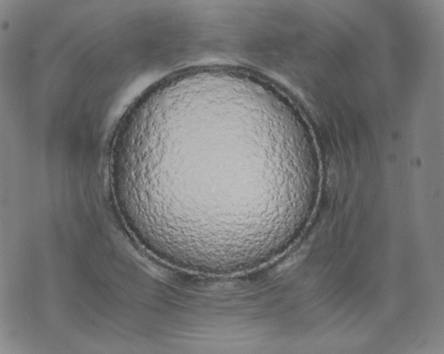 X0000071931367200607281908
