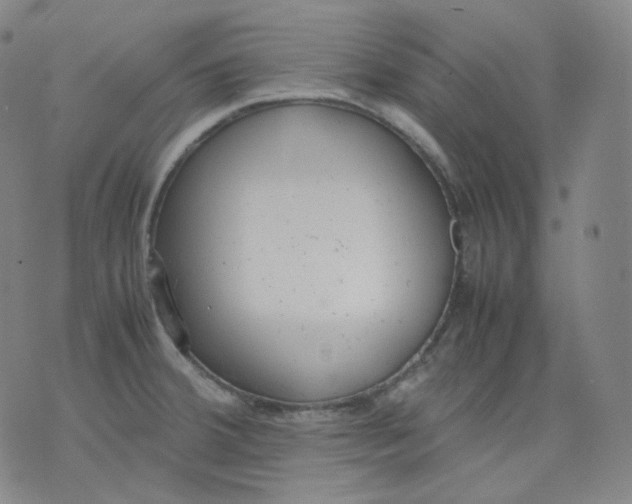 X0000071931380200607281908