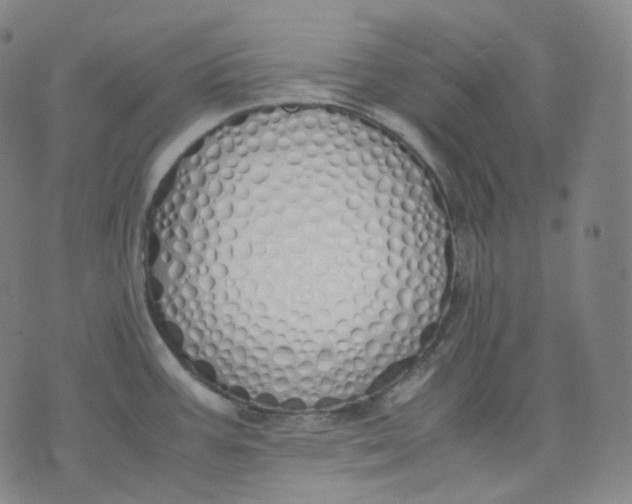 X0000071931387200607281908