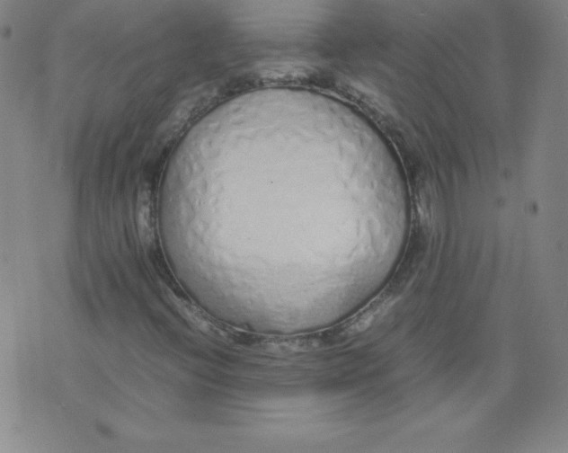 X0000071931396200607281907