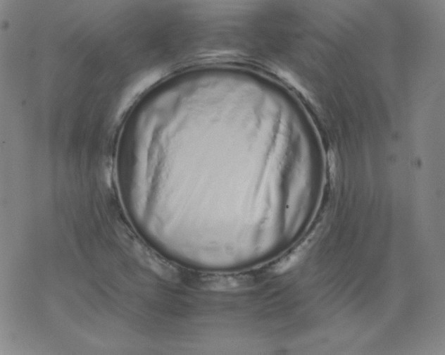 X0000071931405200607281907