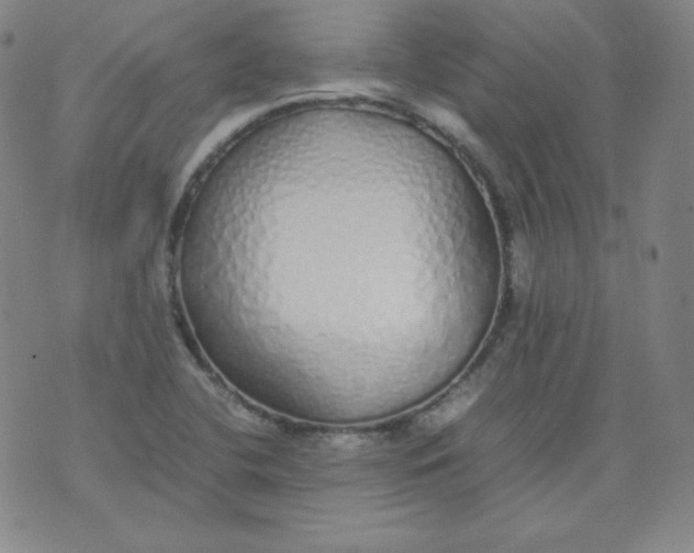 X0000071931412200607281907