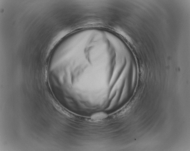 X0000071931413200607281907