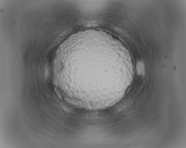 X0000071931444200607281907