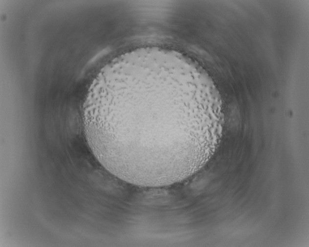 X0000071931446200607281907