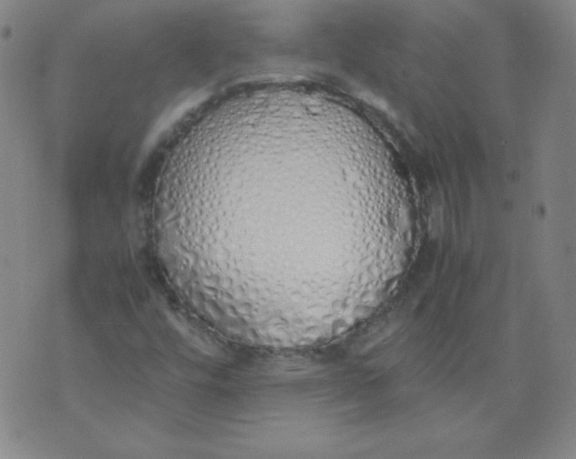 X0000071931448200607281907
