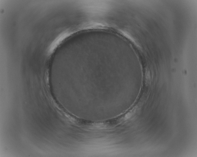 X0000071931455200607281907