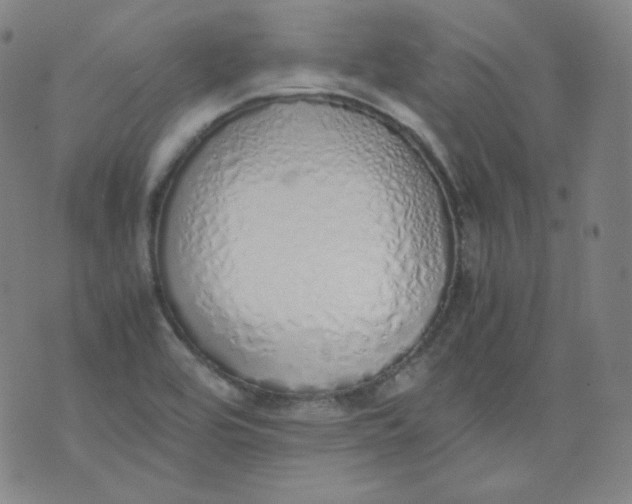 X0000071931464200607281906