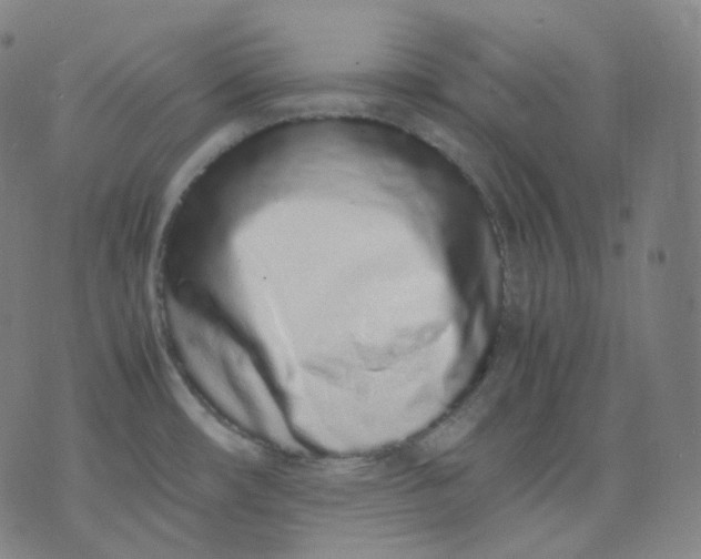 X0000071931482200607281906