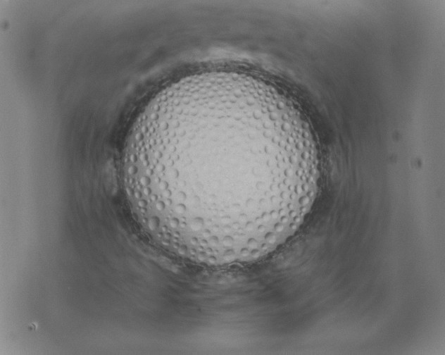 X0000071931493200607281905