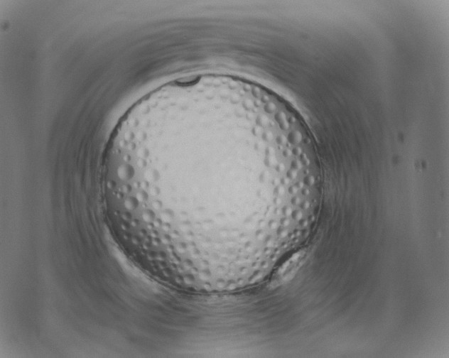 X0000071931534200607281906