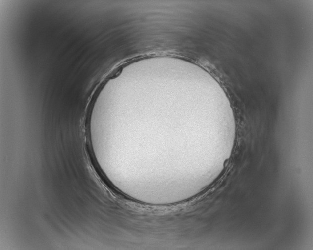 X0000071930002200608041513
