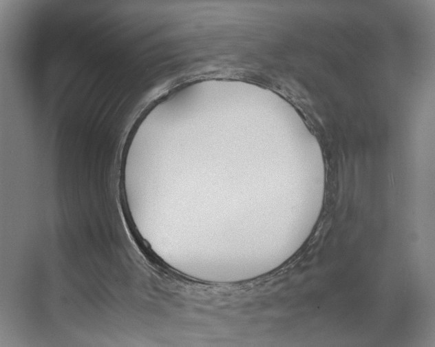 X0000071930003200608041513
