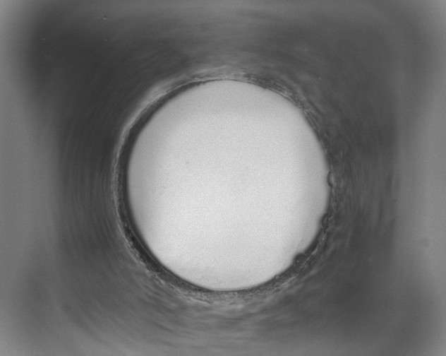 X0000071930006200608041513