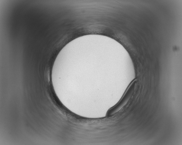 X0000071930021200608041513