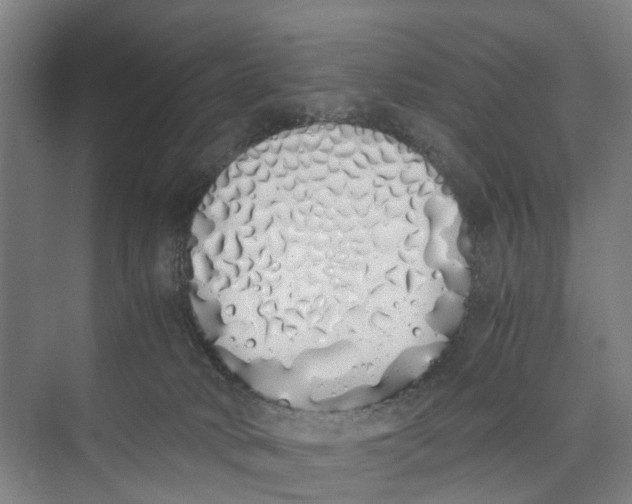 X0000071930034200608041512
