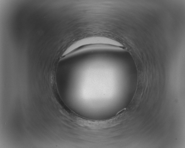 X0000071930039200608041512
