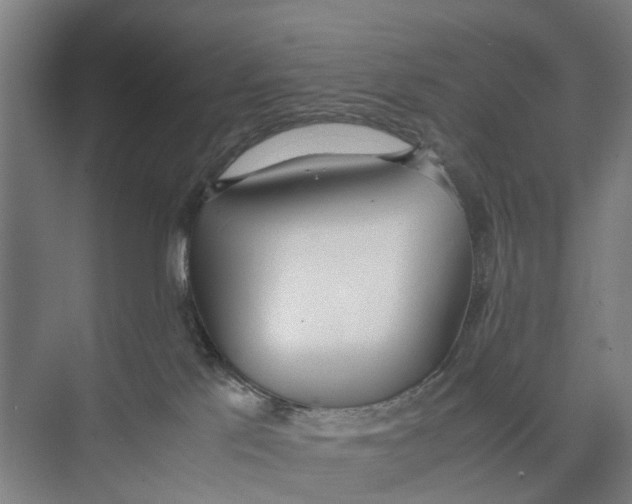 X0000071930041200608041512