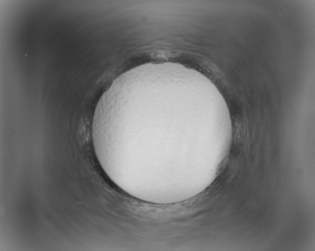 X0000071930043200608041512