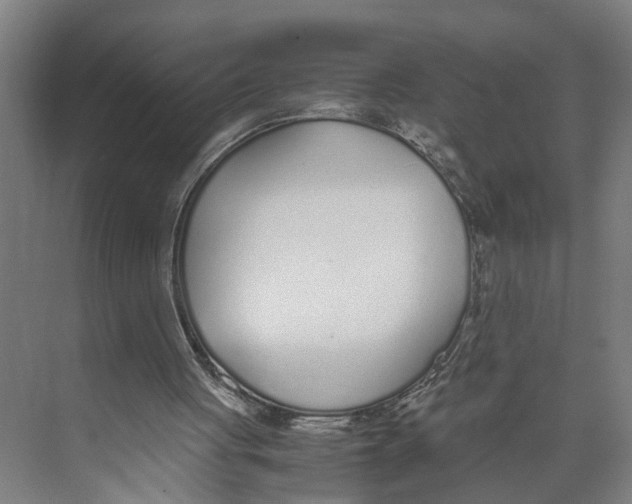 X0000071930051200608041511