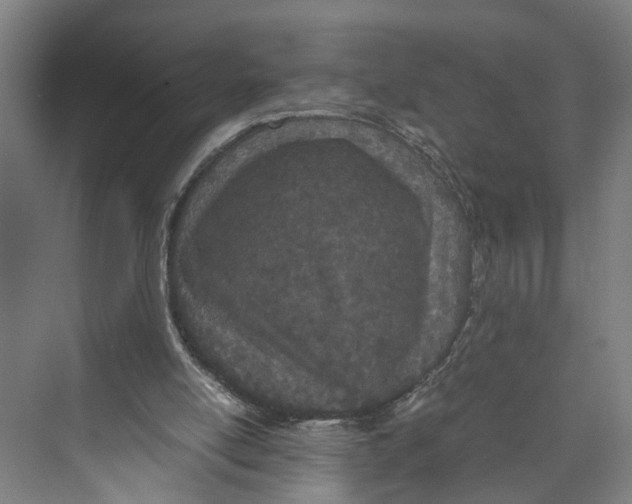 X0000071930054200608041511