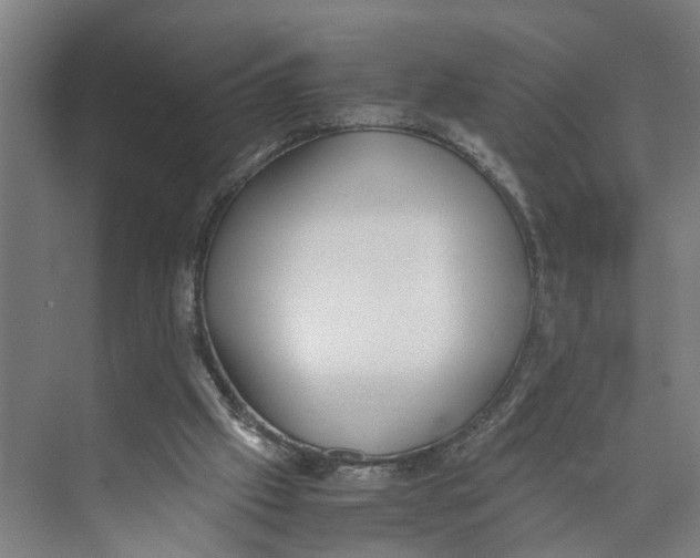 X0000071930057200608041511