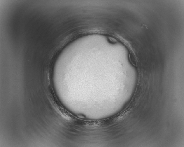 X0000071930061200608041511