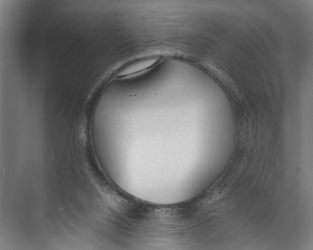X0000071930064200608041512