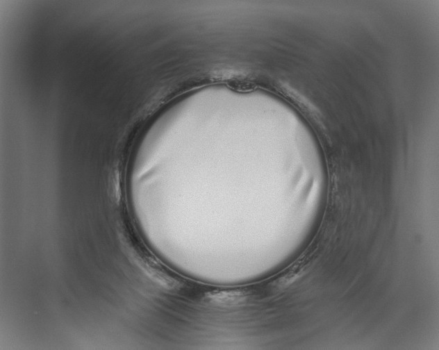 X0000071930067200608041512