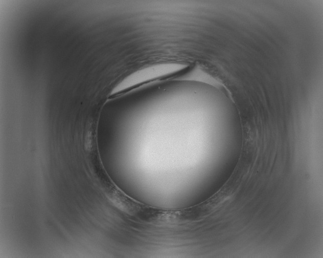 X0000071930080200608041512