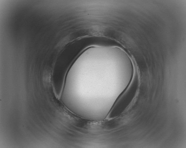 X0000071930084200608041512